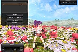 端游《仙境传说2(RO2)》一键安装版+GM工具 怀旧