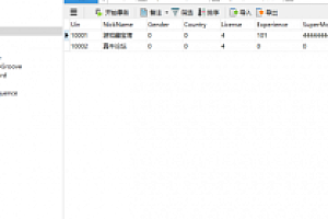 QQFEI车0.6.1的启动问题及修改添加赛车教程